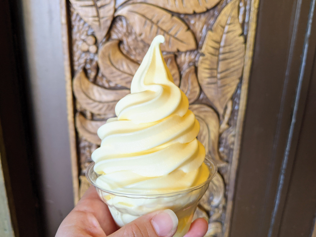 DOLE Whip in Adventureland Magic Kingdom