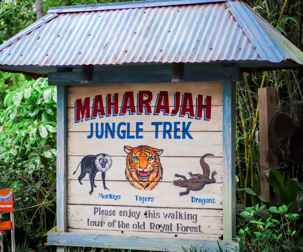 Maharajah Jungle Trek at Disney's Animal Kingdom