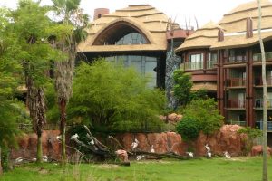 Disney Animal Kingdom Lodge