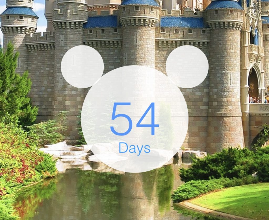 Countdown to Disney World Vacation