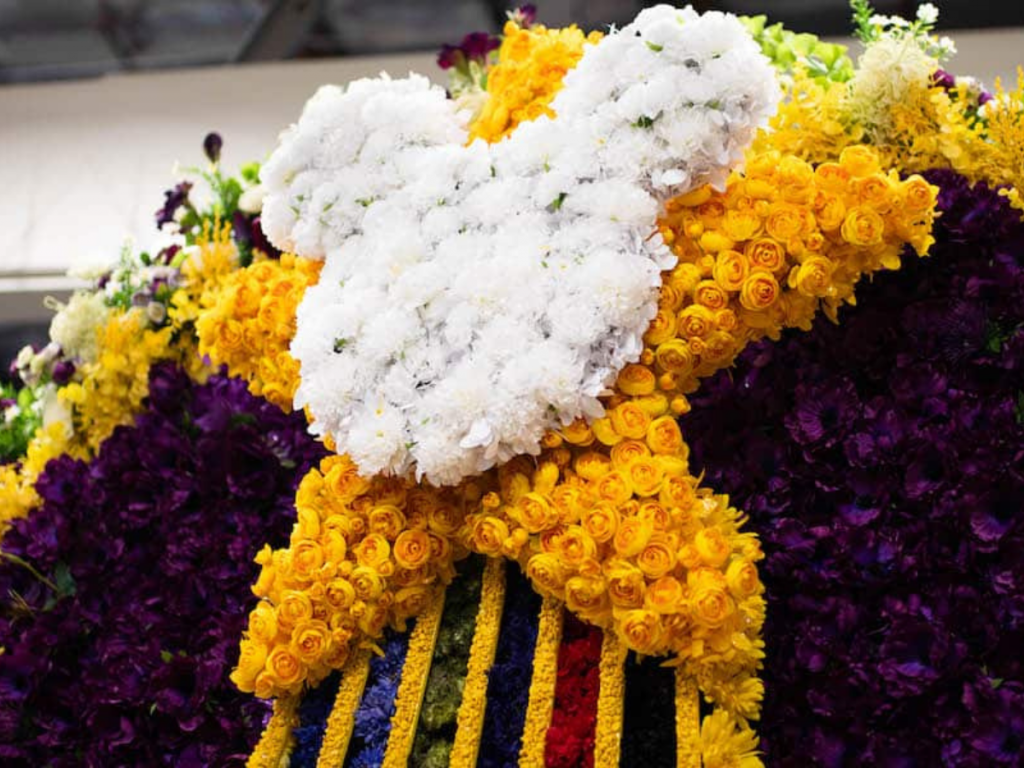 Exhibición de saludo floral Encanto