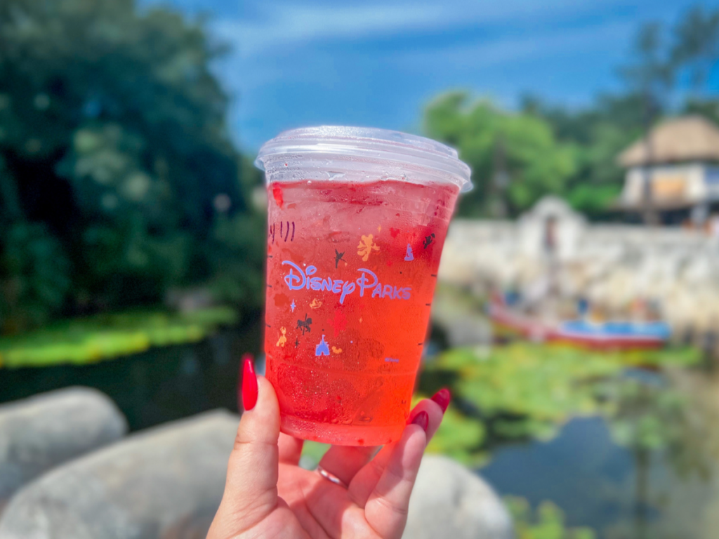 Starbucks Strawberry Acai Refresher at Disney's Animal Kingdom