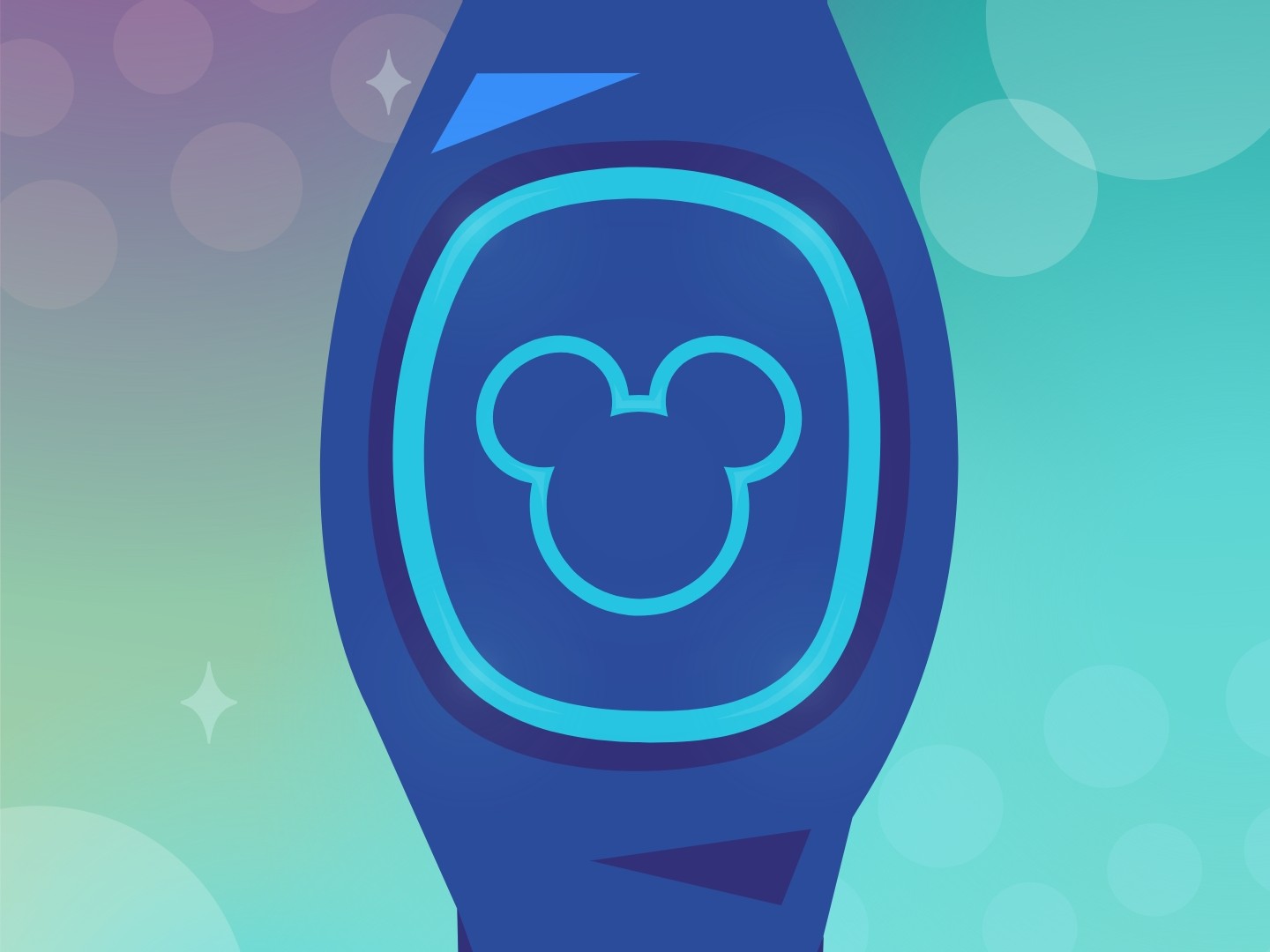 My disney experience magic bands