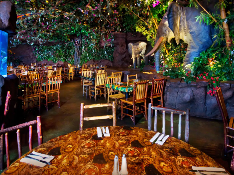 Rainforest Cafe Overview | Disney's Animal Kingdom Dining - DVC Shop