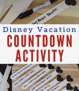 Disney World Countdown