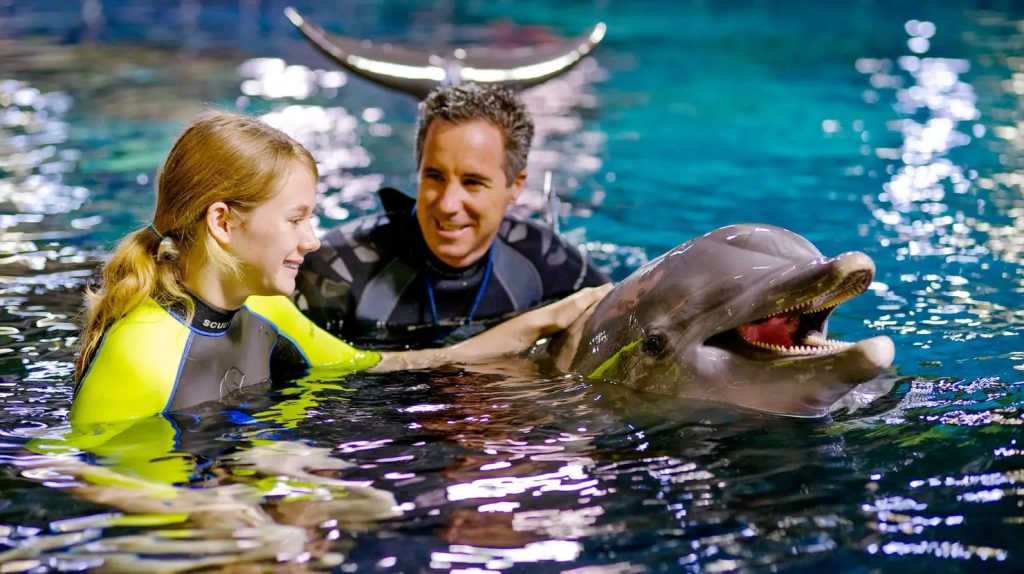 Delfines en profundidad en The Seas en Epcot