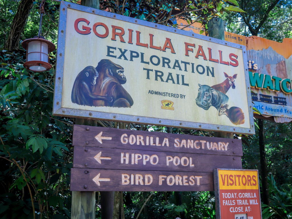 Gorilla Falls Exploration Trail Disney's Animal Kingdom