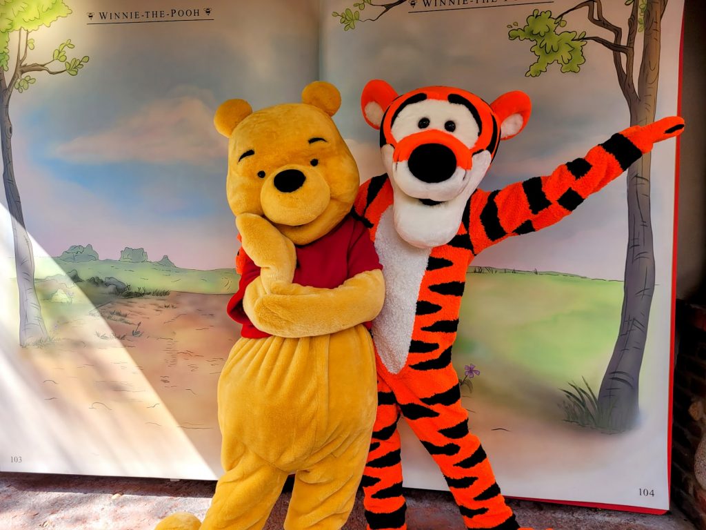 Winnie the Pooh and Tigger in Magic Kingdom