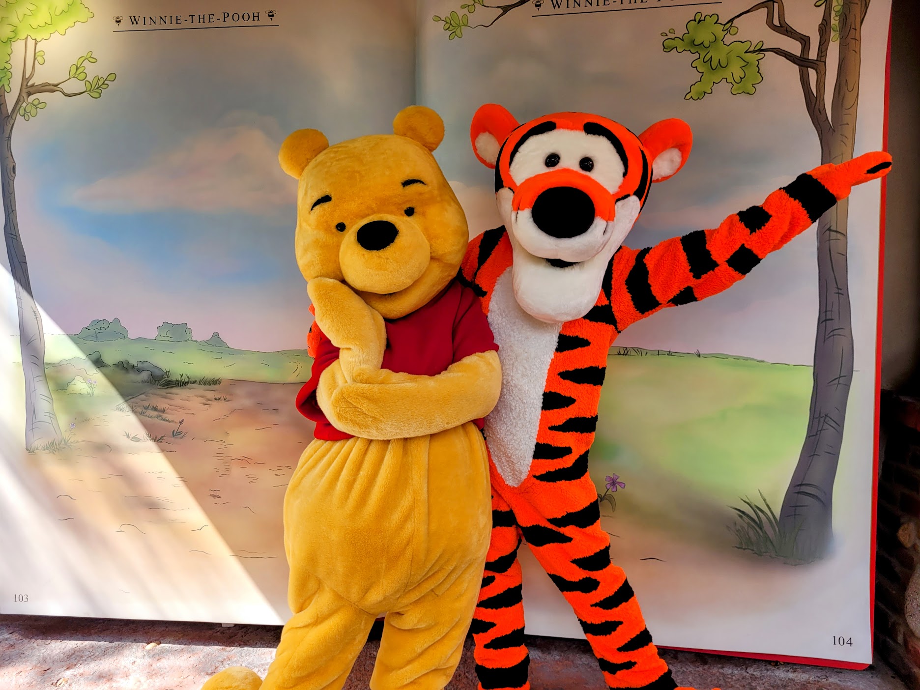 Pooh & Tigger Meet and Greet Returns to Magic Kingdom - DVC Shop