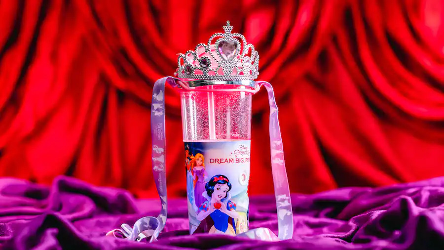 Princess Bubble Sipper in Disneyland Resort