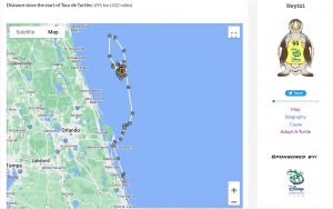 Disney Vero Beach Turtle Tracking