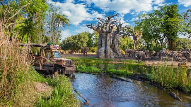 Kilimanjaro Safaris