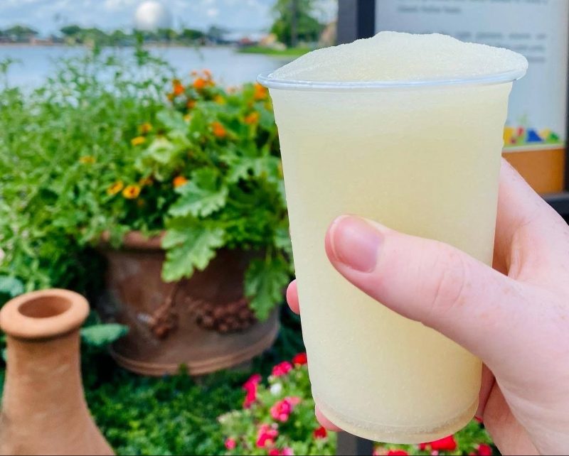 EPCOT Drink
