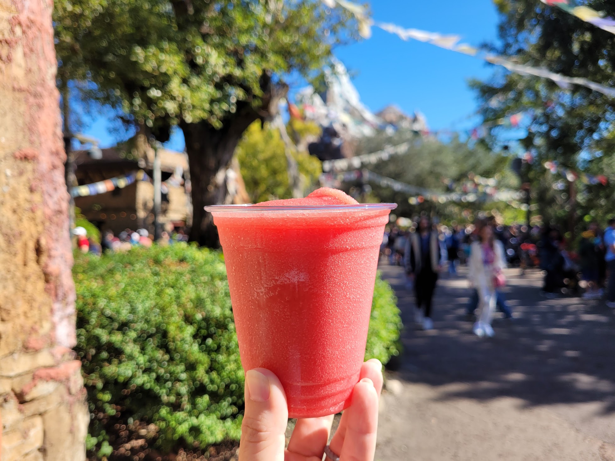 Thirsty River Bar & Trek Snacks Overview Disney's Animal Kingdom