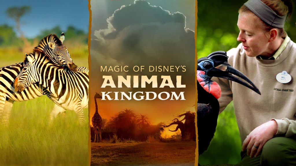 Magia del Reino Animal de Disney