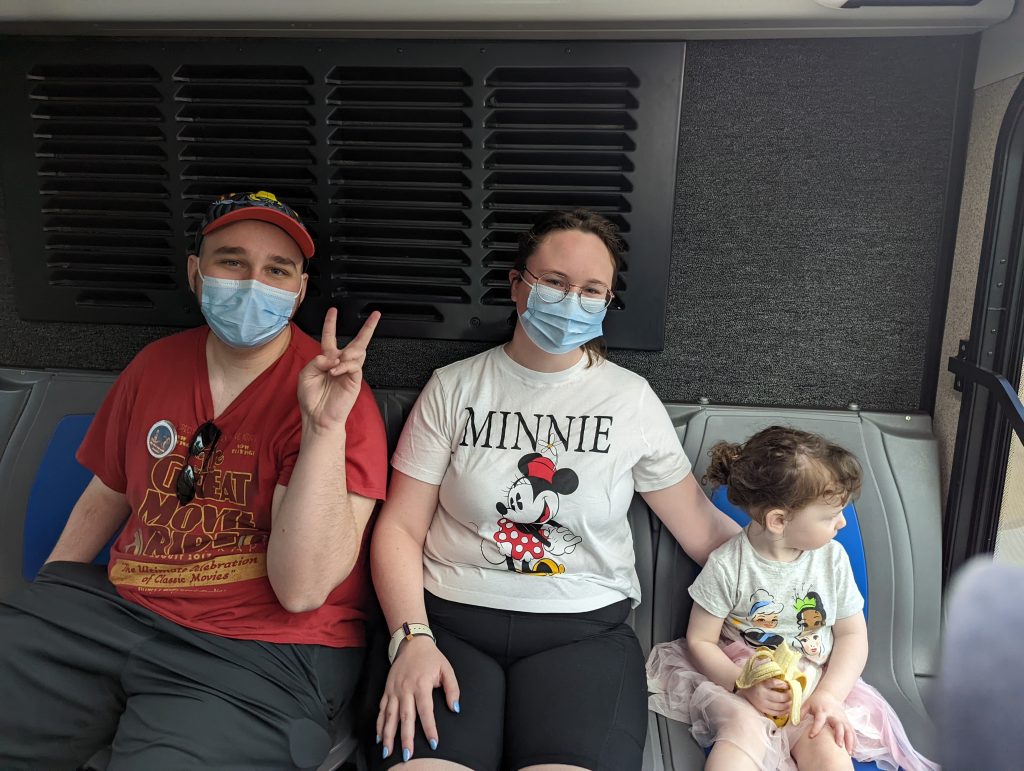 Face Masks Disney World