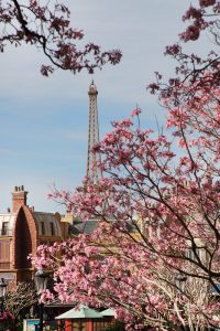 EPCOT Francia