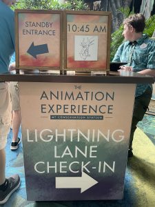 Animation Experience