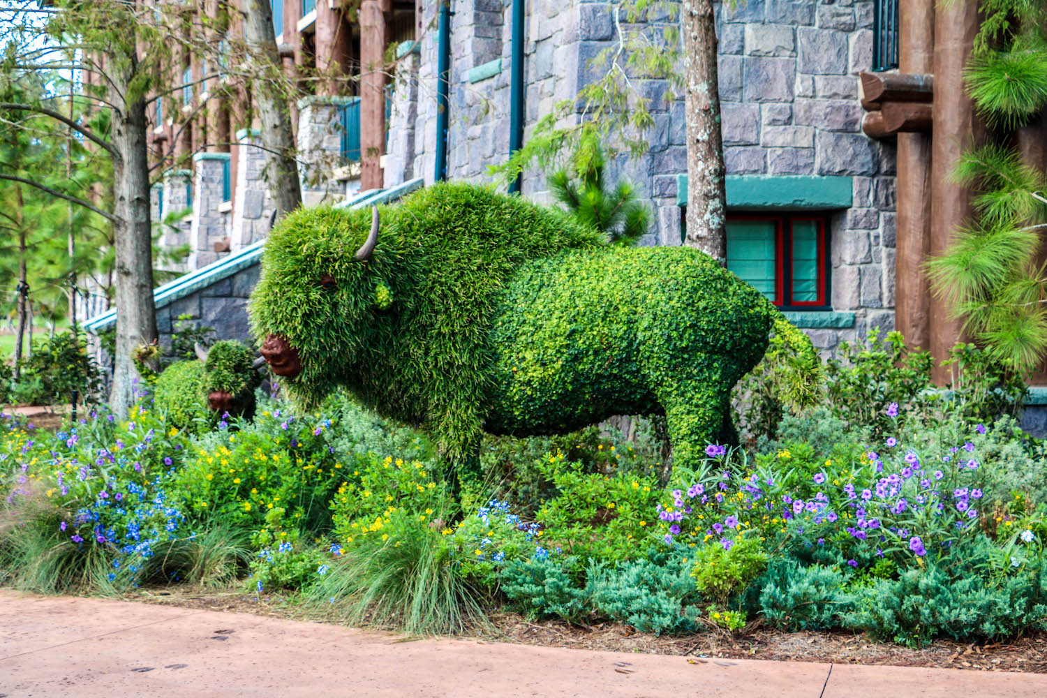 Buffalo-Topiary-at-Wildnerness-Lodge