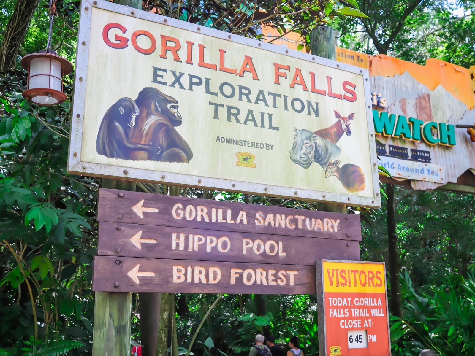 Gorilla Falls.