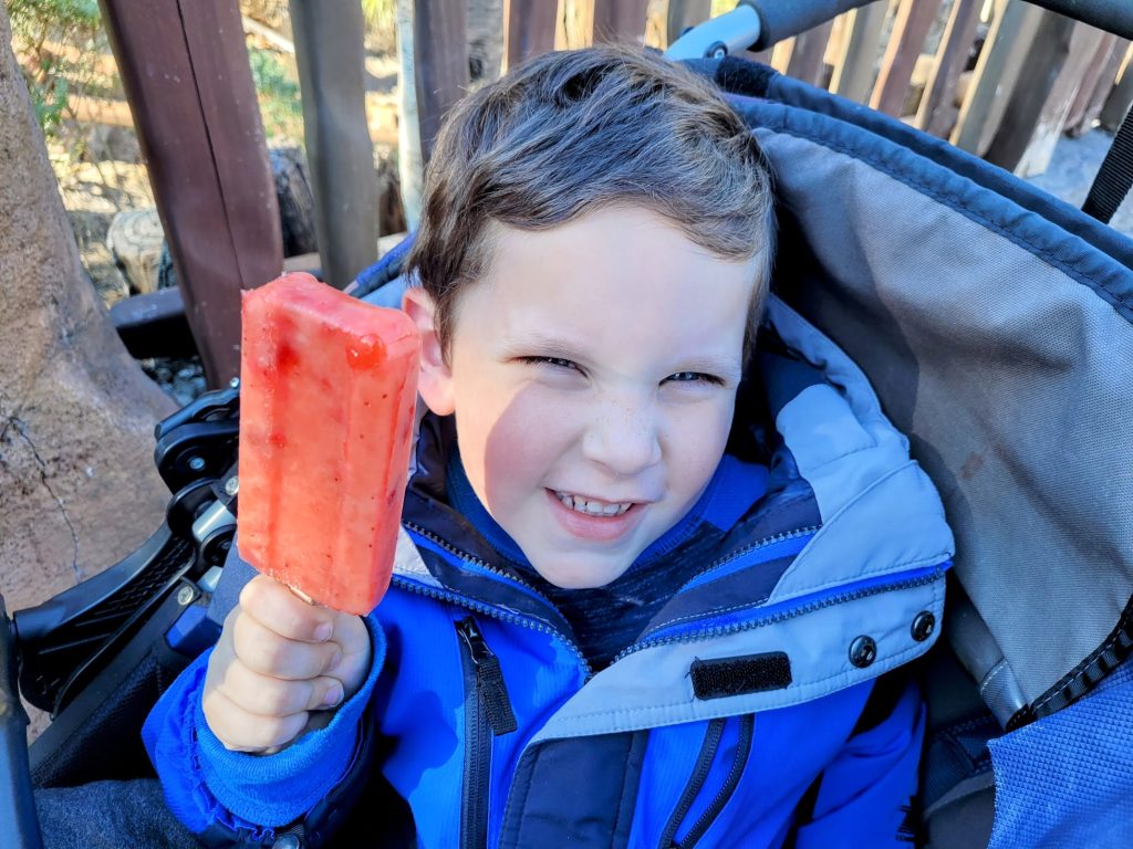 Strawberry Fruit Bar in Magic Kingdom