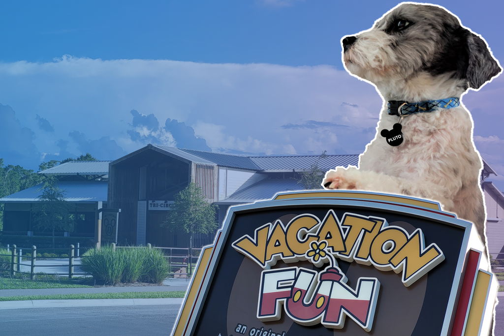 Pet-Friendly Resort Hotels At Walt Disney World