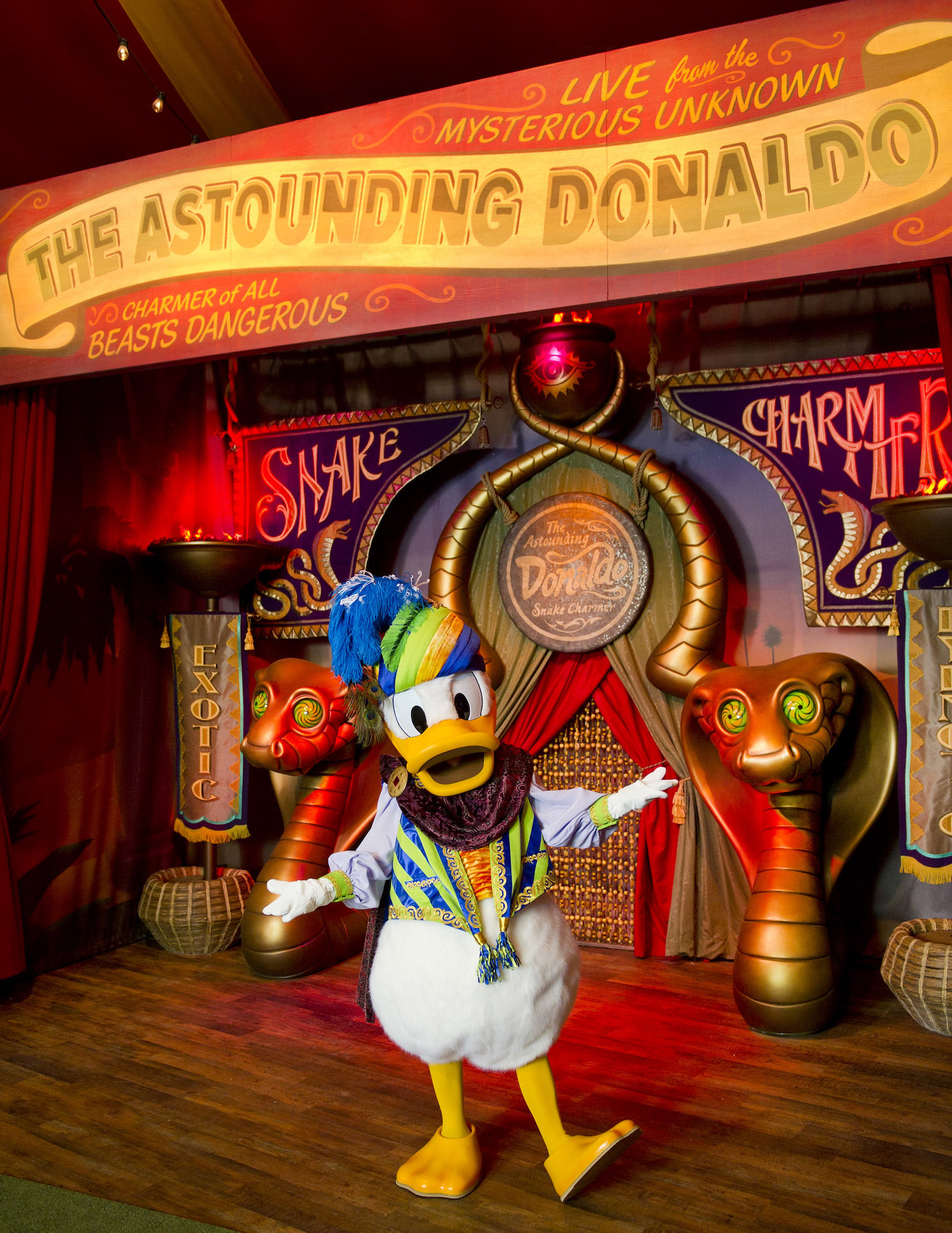 The Astounding Donaldo