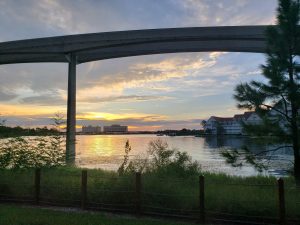 Morning views from the walkway to Magic Kingdom from the Grand Floridian Villas. Photo by Leia Cullen. 