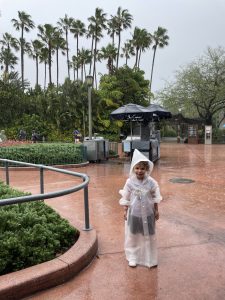 Disney World Rainy Day