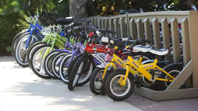Children's Bike Rentals at Walt Disney World