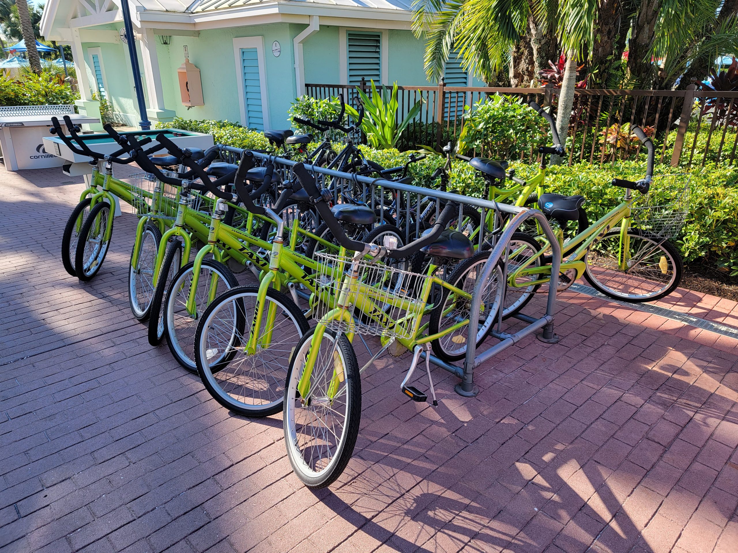 Alquiler de bicicletas convencionales en Old Key West Resort