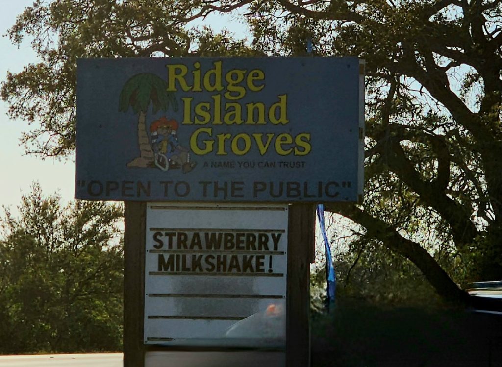 Ridge Island Groves