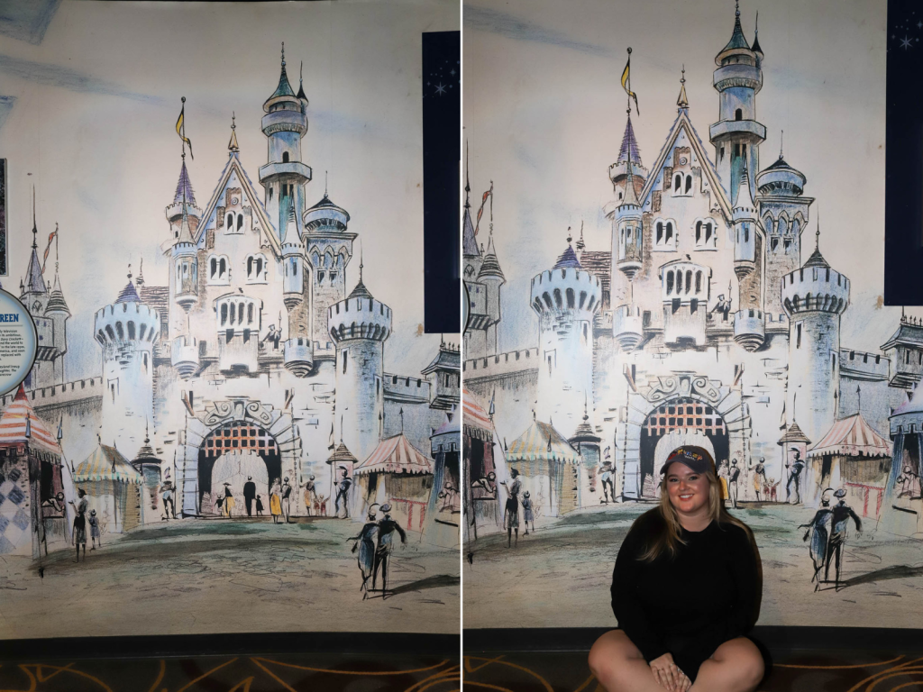 Walt Disney Presents Disneyland Castle Wall