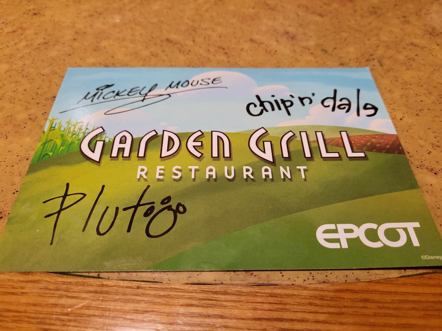 Garden Grill Card Signed by Pluto, Mickey, and Chip n Dale