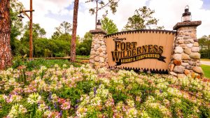Disney Fort Wildernress
