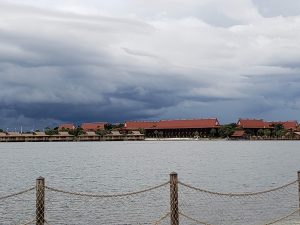 Disney Polynesian