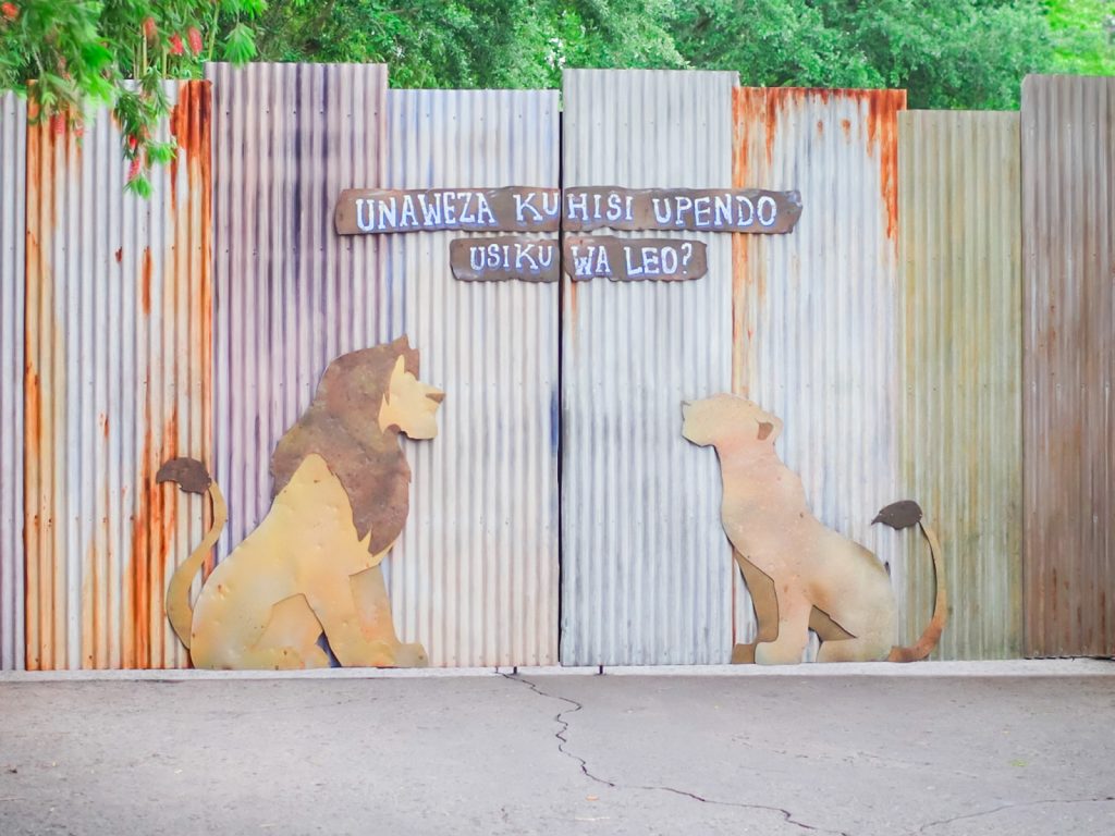 The Lion King at Disney's Animal Kingdom.