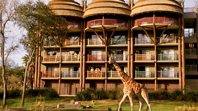 Animal Kingdom Lodge