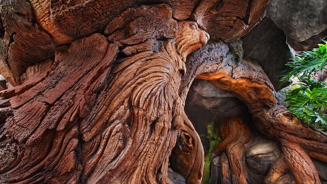 The Tree of Life's Carvings