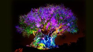 Disney World Tree of Life