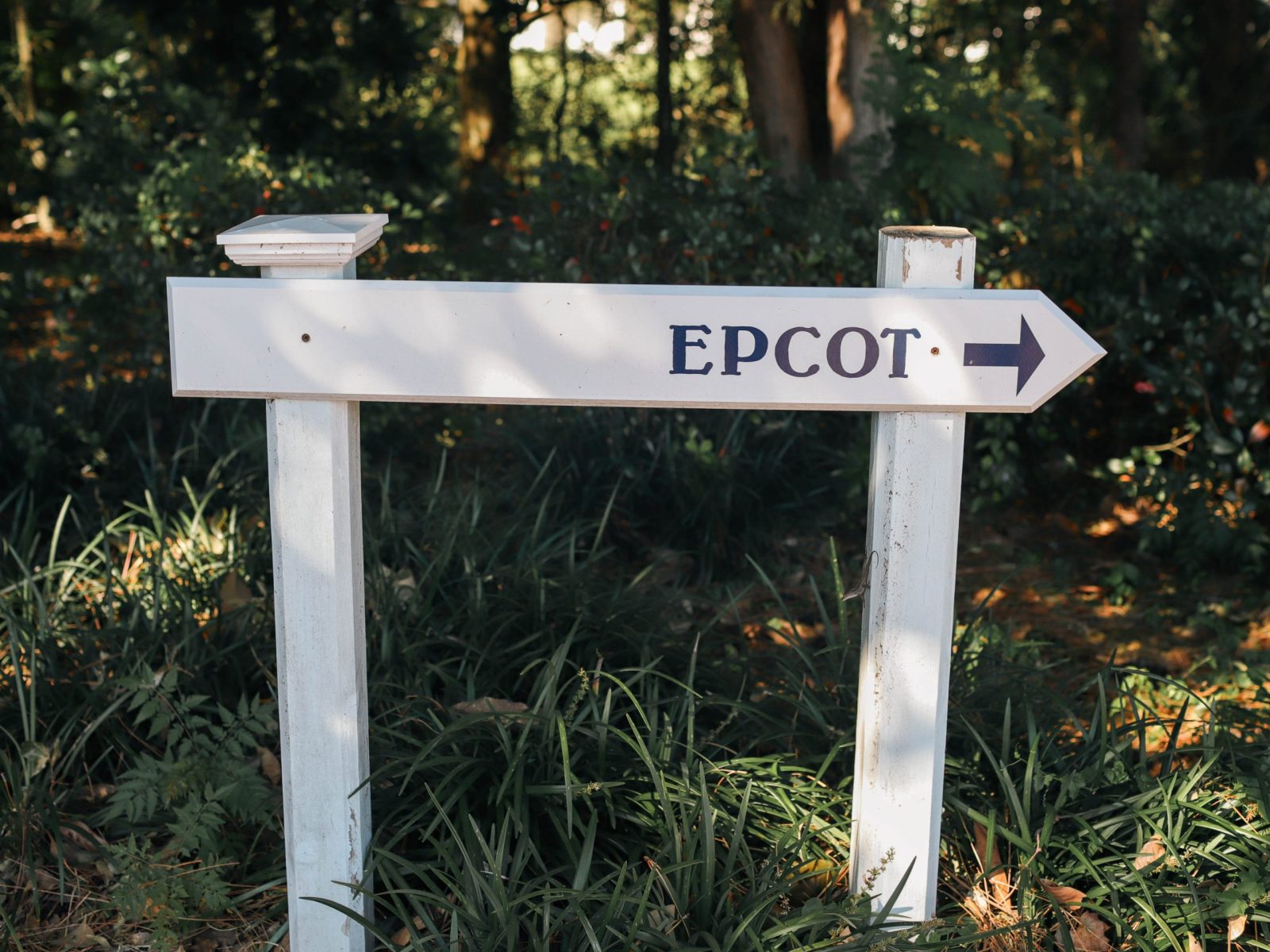 Walkway to EPCOT from Disney's BoardWalk.