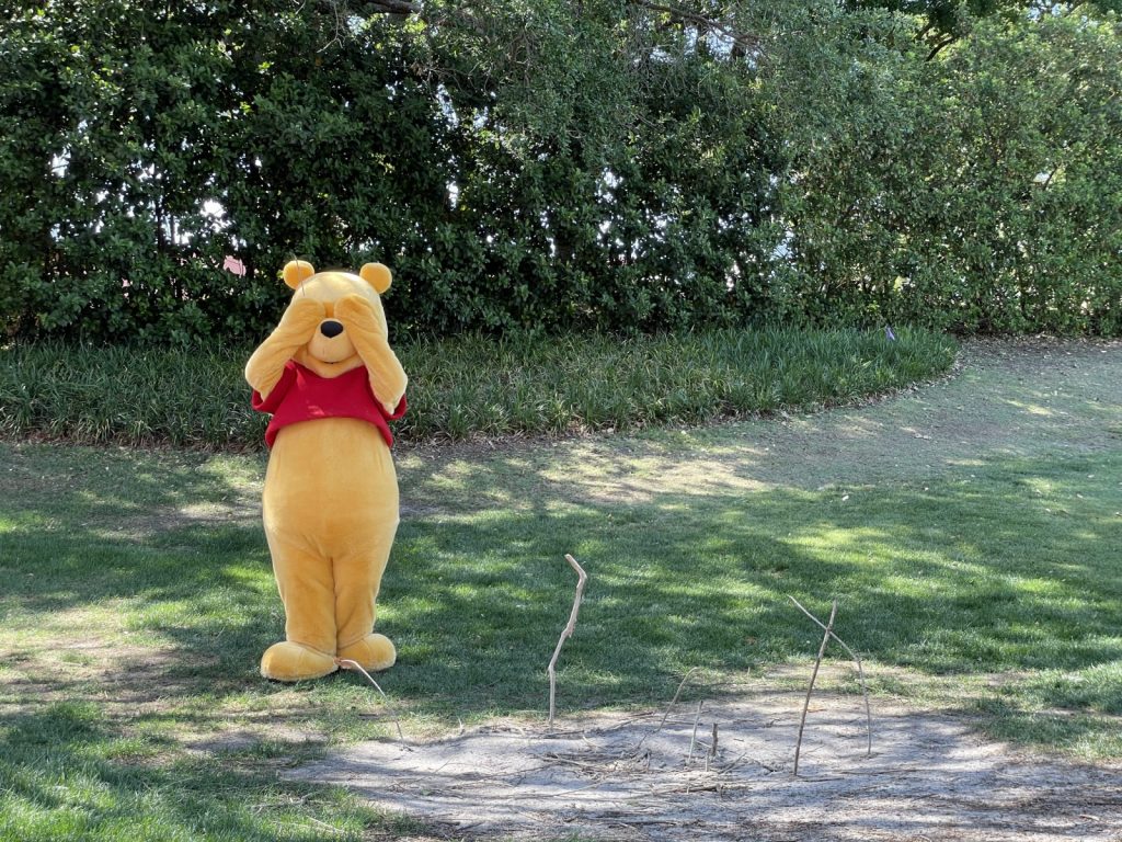 Disney World Winnie the Pooh