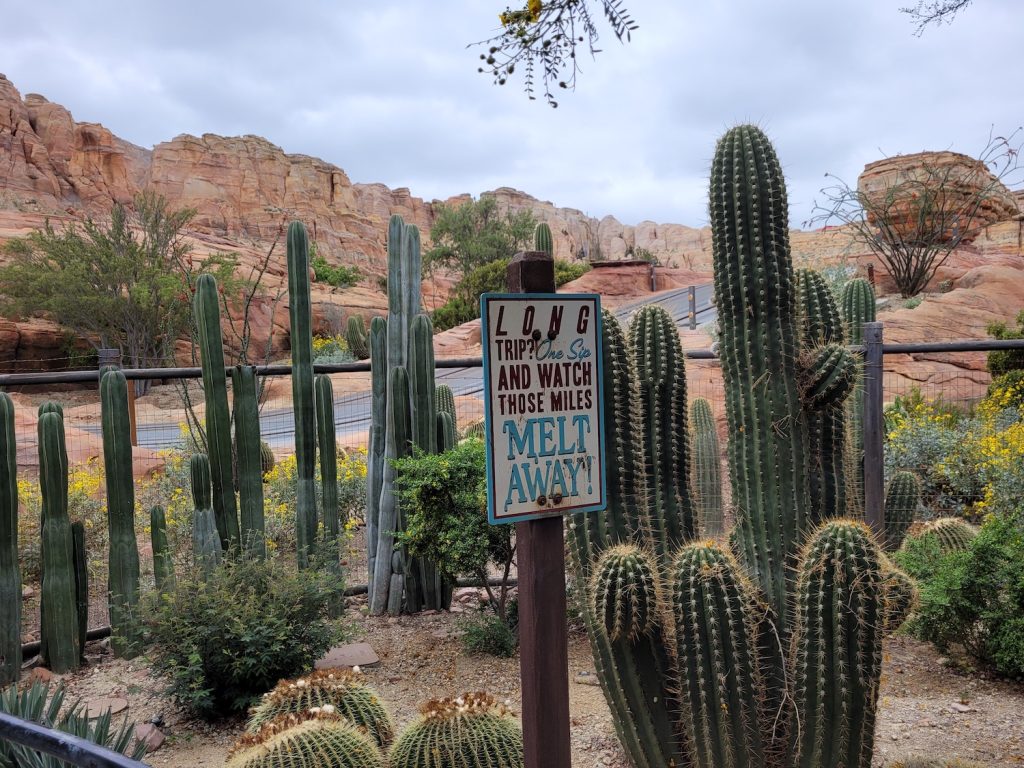 Radiator Springs Racers Queue - Catcus