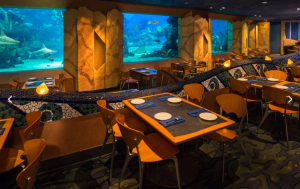 Enjoy the serene view of The Seas with Nemo & Friends aquariums right from the comfort of your table at Coral Reef in EPCOT. Photo: Disney.