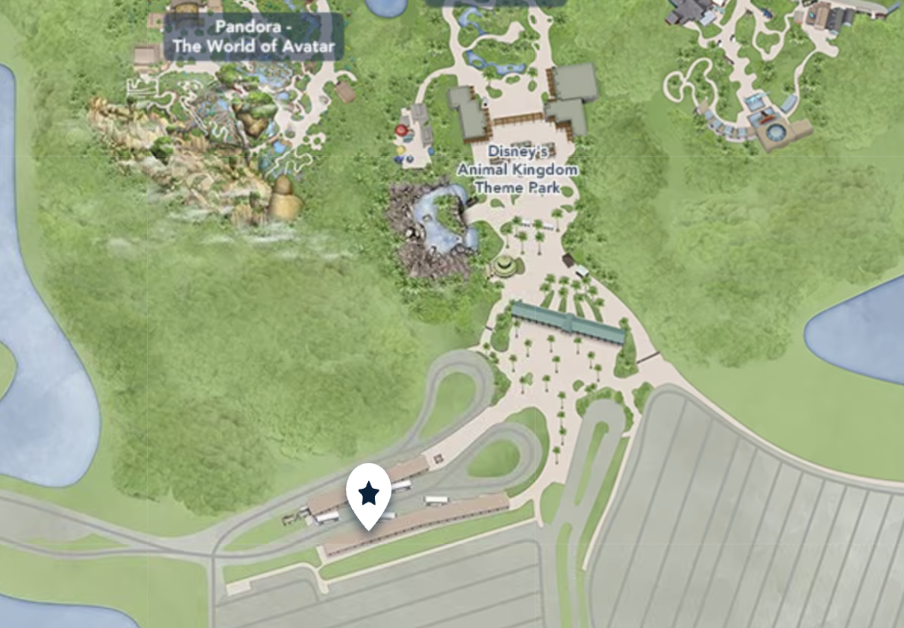 Disney's Animal Kingdom Theme Park Bus Stop Map