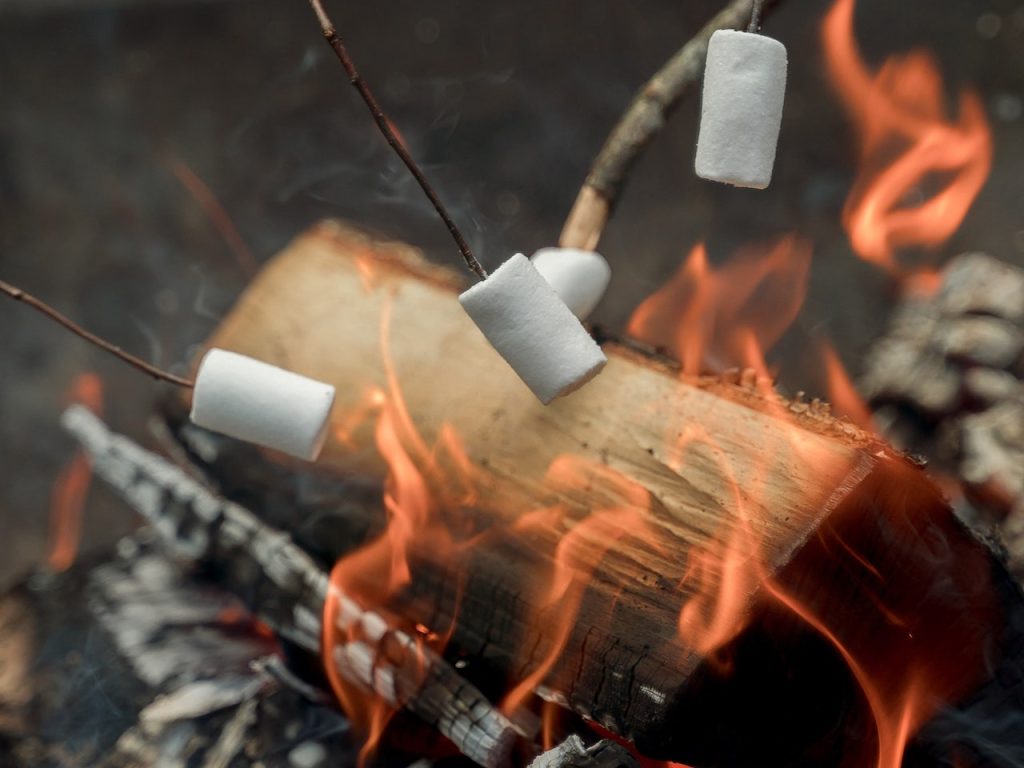 campfire roasting marshmallows