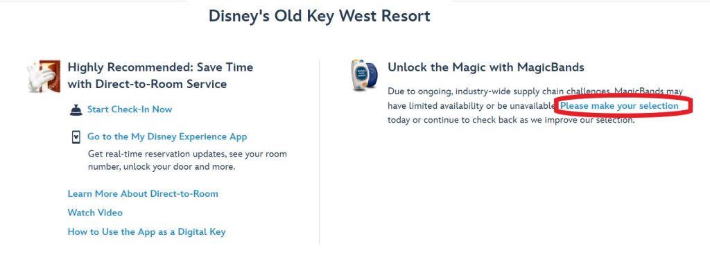 My Disney Experience MagicBand