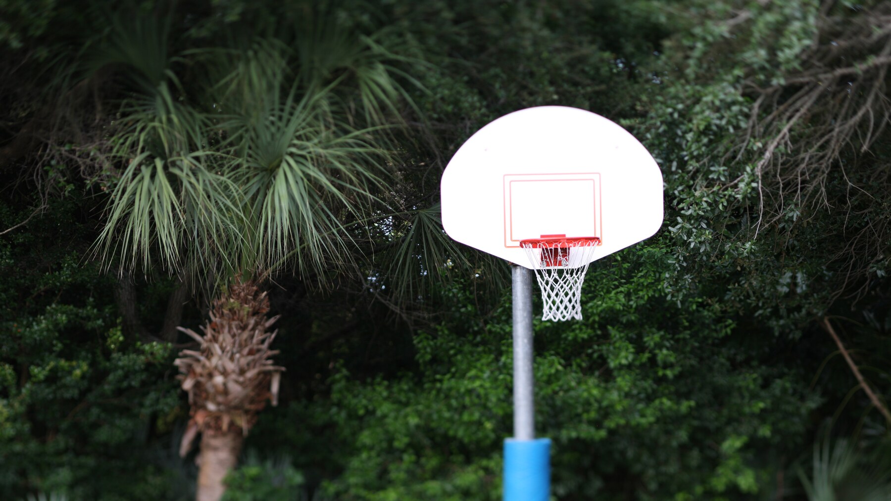 Basketball Court At Vero Beach