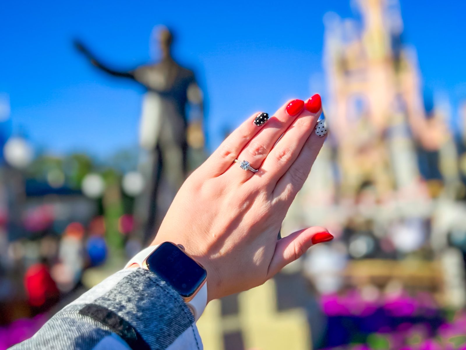 Disney Proposal