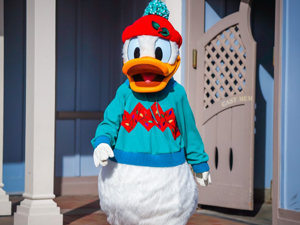 Donald in Christmas Outfit